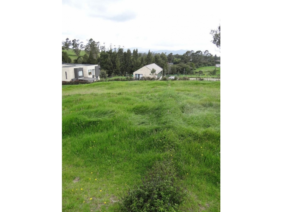 VENTA DE LOTE EN EL ALTO DE LAS PALMAS ENVIGADO PRECIO DE OPORTUNIDAD