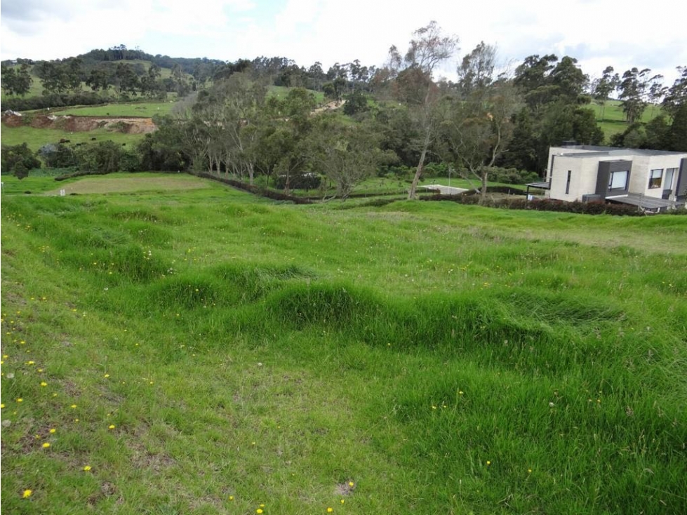 VENTA DE LOTE EN EL ALTO DE LAS PALMAS ENVIGADO PRECIO DE OPORTUNIDAD — foto 3