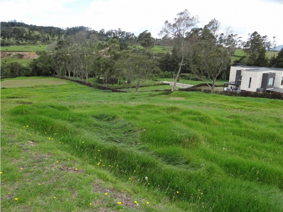 VENTA DE LOTE EN EL ALTO DE LAS PALMAS ENVIGADO PRECIO DE OPORTUNIDAD — foto 2