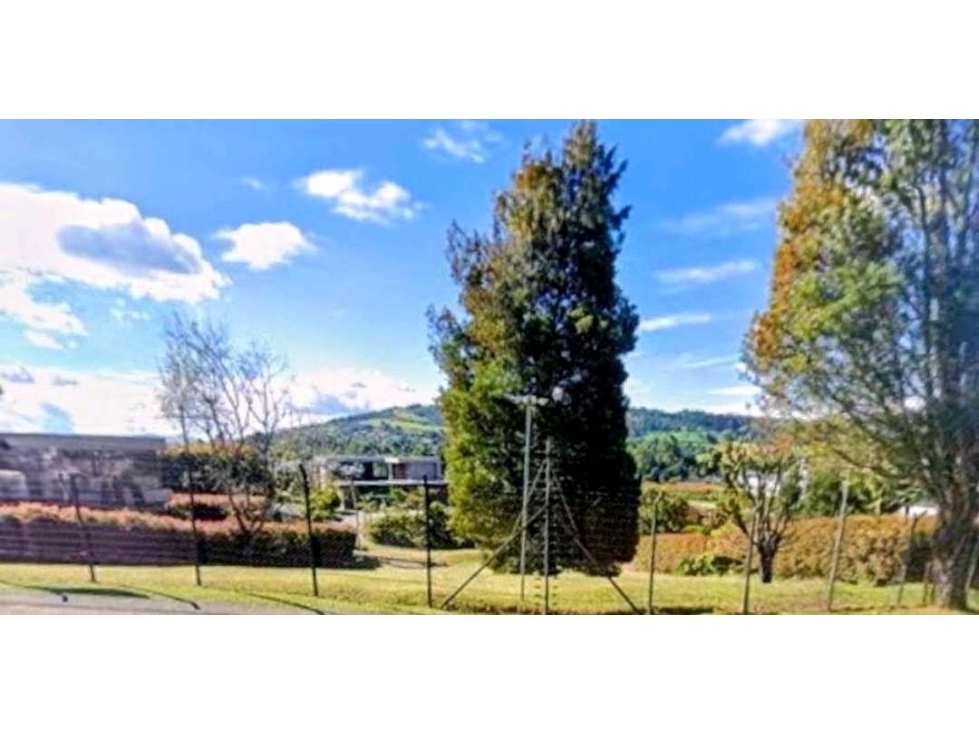 VENTA DE LOTE EN EL ALTO DE LAS PALMAS, CERCA AL MALL INDIANA.