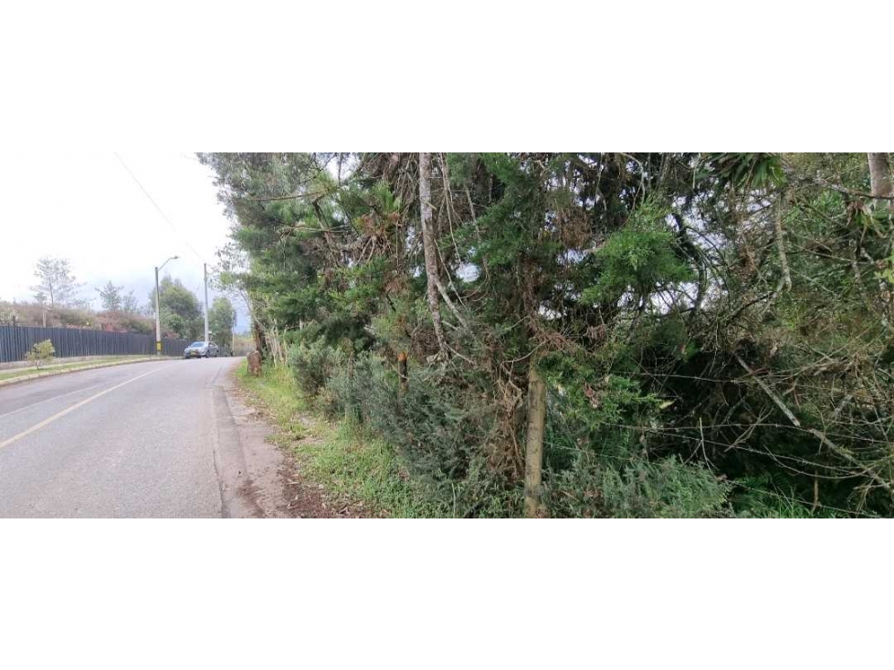 VENTA DE LOTE EN EL ALTO DE LAS PALMAS, SECTOR LA ESPERANZA. — foto 4