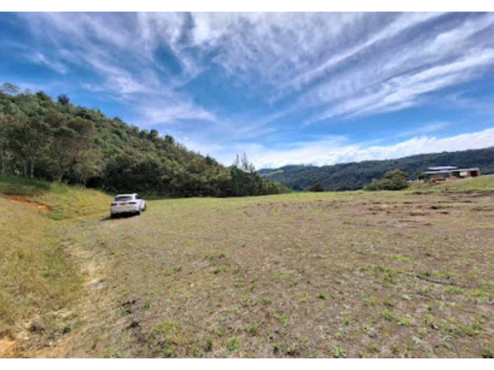 VENTA DE LOTE EN EL ALTO DE LAS PALMAS, VEREDA PERICO.