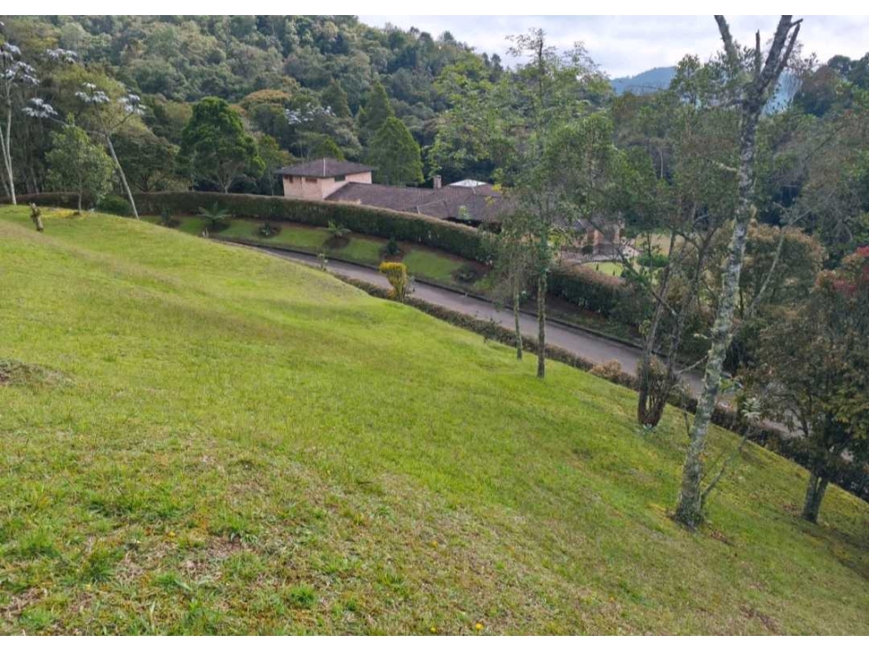 VENTA DE LOTE EN EL ALTO DE PALMAS, SECTOR EL ESCOBERO. — foto 3