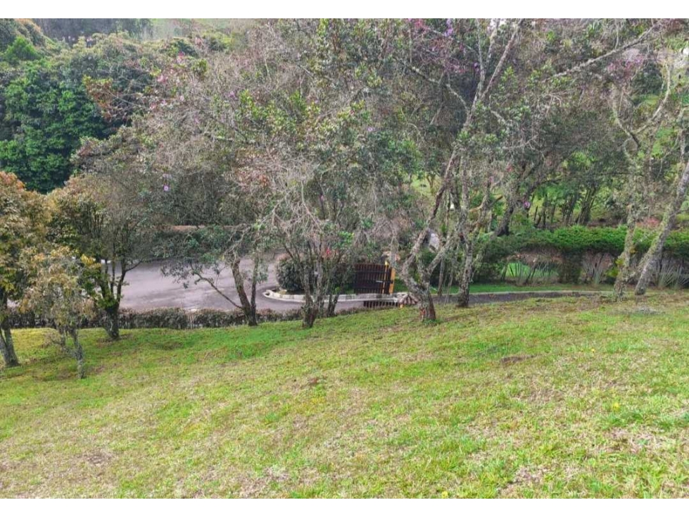 VENTA DE LOTE EN EL ALTO DE PALMAS, SECTOR EL ESCOBERO. — foto 4