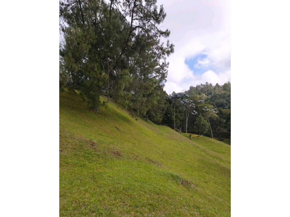 VENTA DE LOTE EN EL ALTO DE PALMAS, SECTOR EL ESCOBERO. — foto 5
