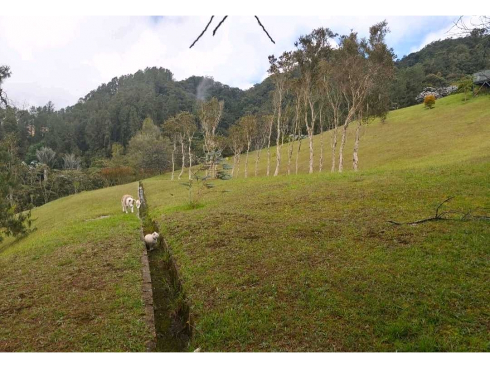 VENTA DE LOTE EN EL ALTO DE PALMAS, SECTOR EL ESCOBERO. — foto 6