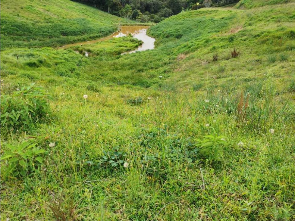 Venta de lote en el Carmen de Viboral - 1