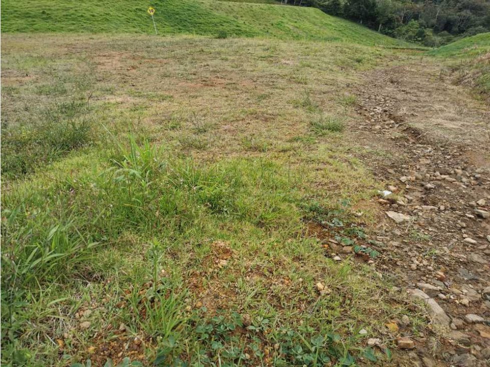 Venta de lote en el Carmen de Viboral - 2