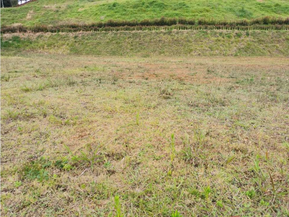 Venta de lote en el Carmen de Viboral - 1