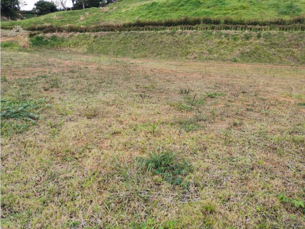 Venta de lote en el Carmen de Viboral - 3