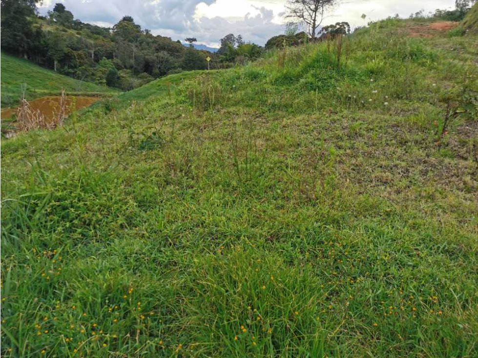 Venta de lote en el Carmen de Viboral - 1