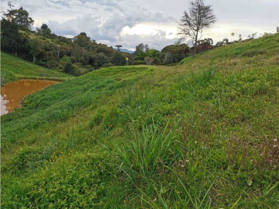 Venta de lote en el Carmen de Viboral - 2