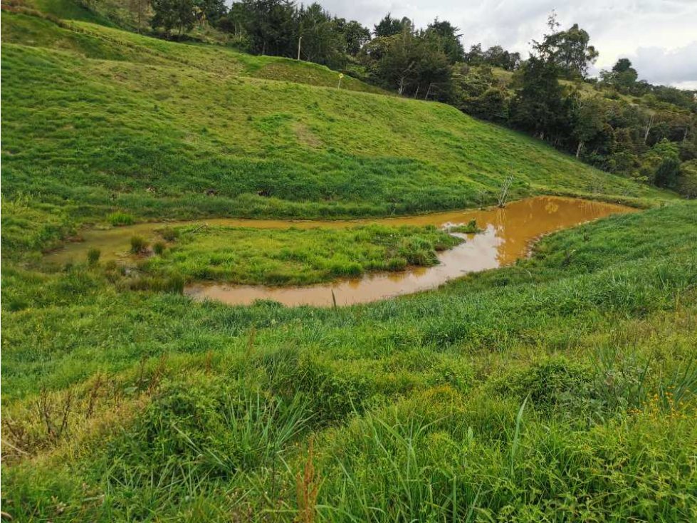 Venta de lote en el Carmen de Viboral - 4