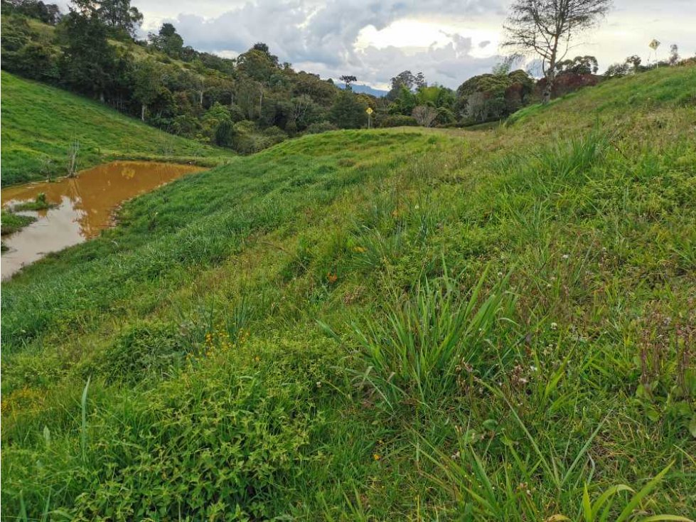 Venta de lote en el Carmen de Viboral - 5