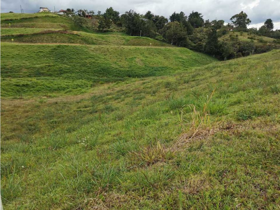 Venta de lote en el Carmen de Viboral - 2