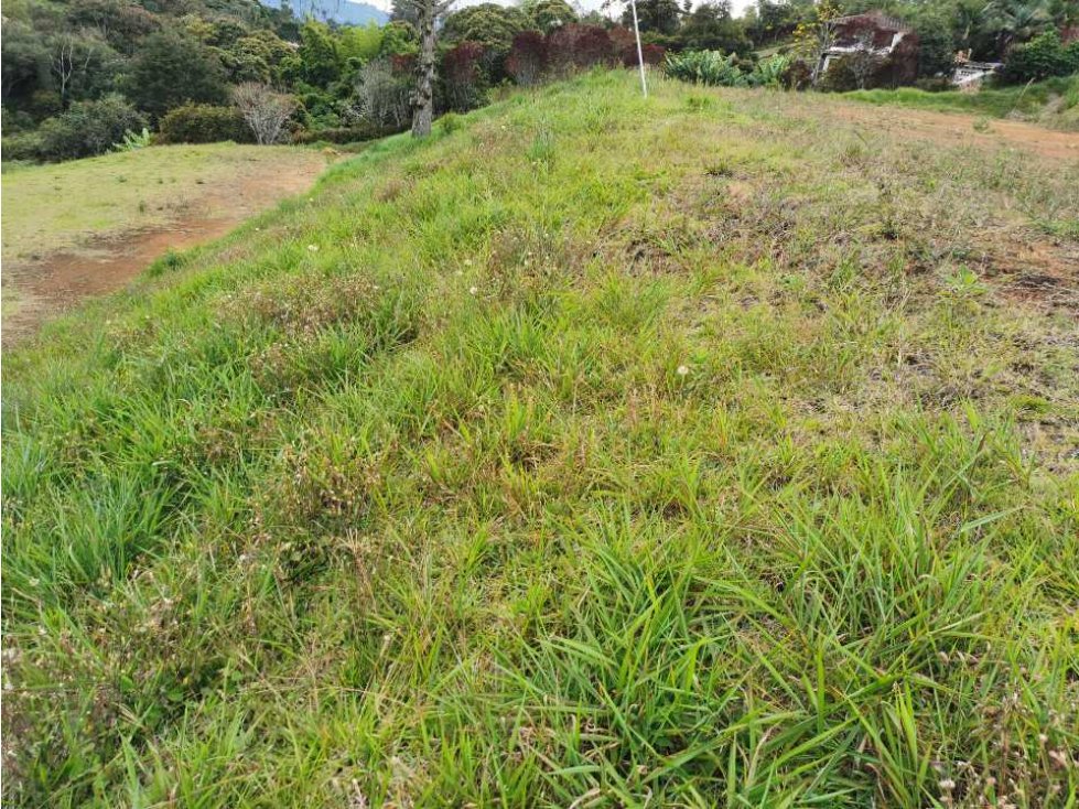Venta de lote en el Carmen de Viboral - 1