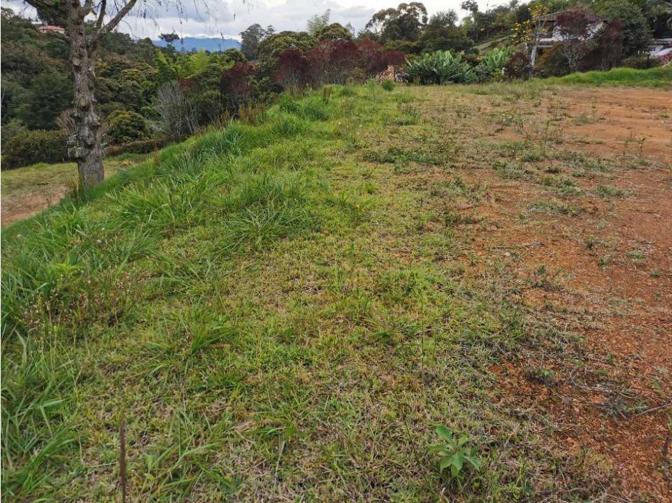 Venta de lote en el Carmen de Viboral - 2