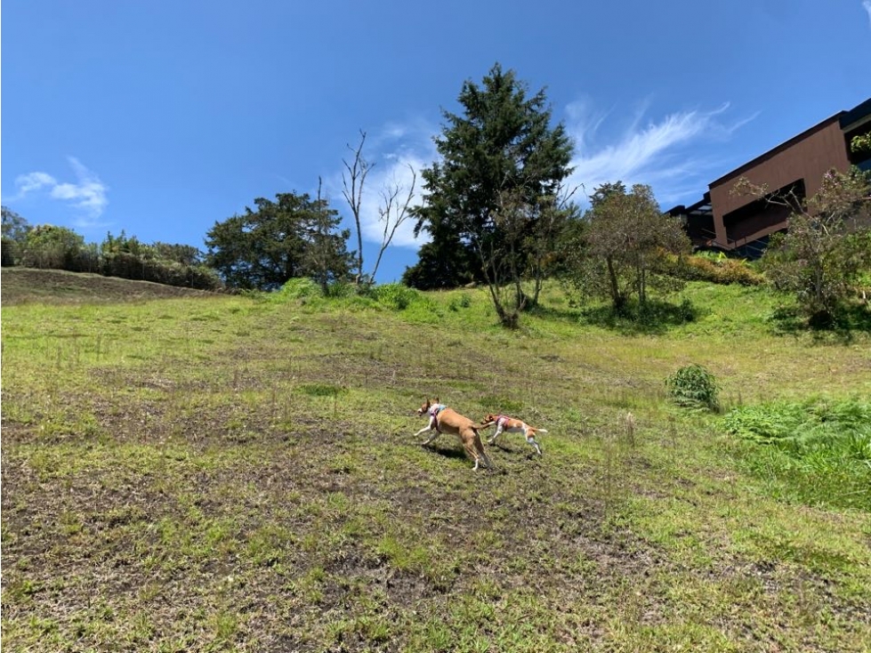 Venta de lote en el Carmen vía San Antonio La Ceja — foto 3