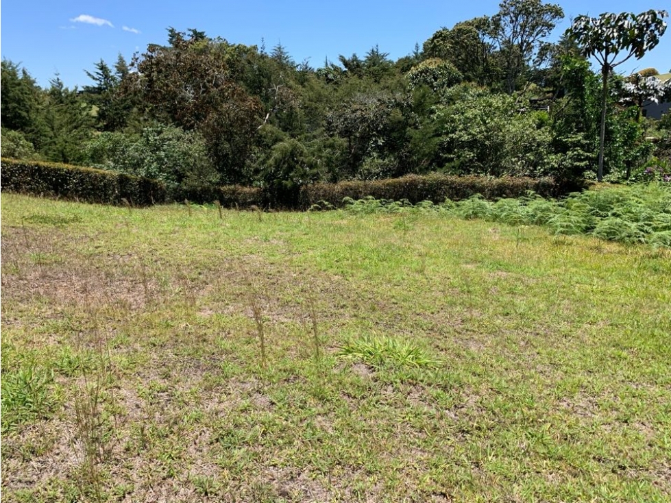 Venta de lote en el Carmen vía San Antonio La Ceja — foto 5