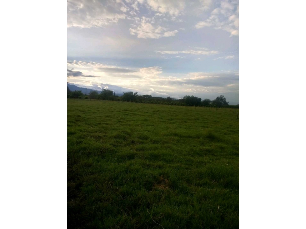 VENTA DE LOTE EN EL CORREGIMIENTO DEL HORMIGUERO VEREDA CASCAJAL — foto 2