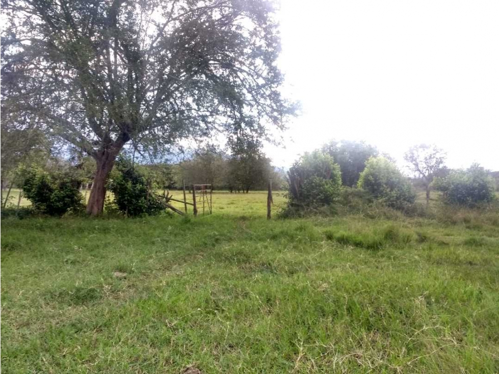 VENTA DE LOTE EN EL CORREGIMIENTO DEL HORMIGUERO VEREDA CASCAJAL — foto 4