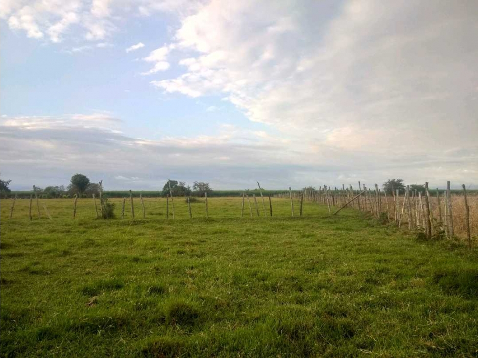 VENTA DE LOTE EN EL CORREGIMIENTO DEL HORMIGUERO VEREDA CASCAJAL — foto 5
