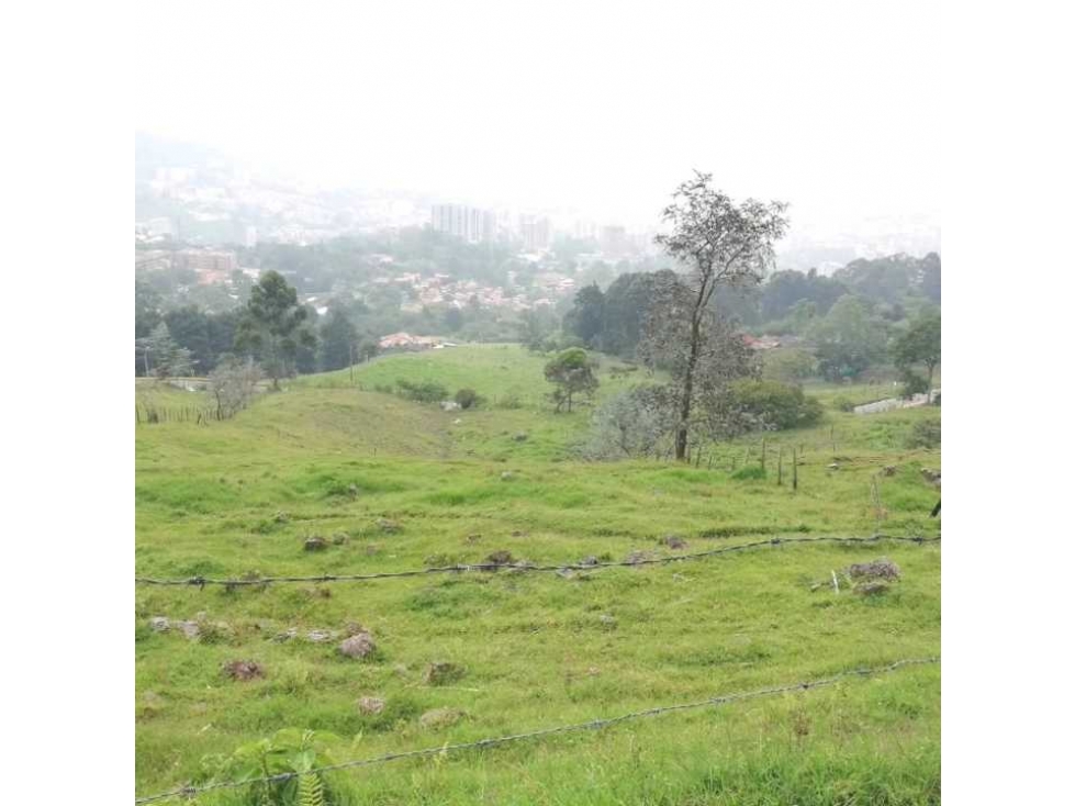 VENTA DE LOTE EN EL ESCOBERO DE GRAN EXTENSIÓN — foto 3