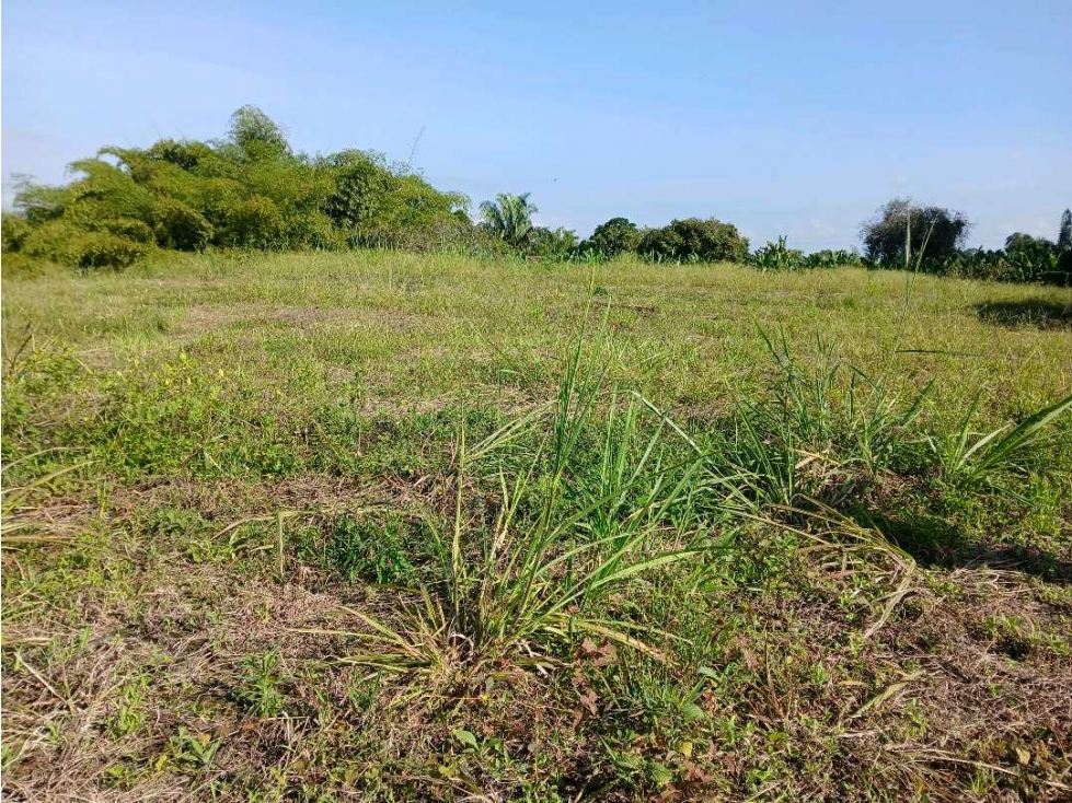 VENTA DE LOTE EN EL QUINDIO SECTOR EL CAIMO — foto 4