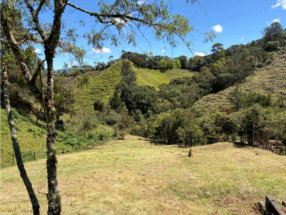 Venta Lote en El Retiro