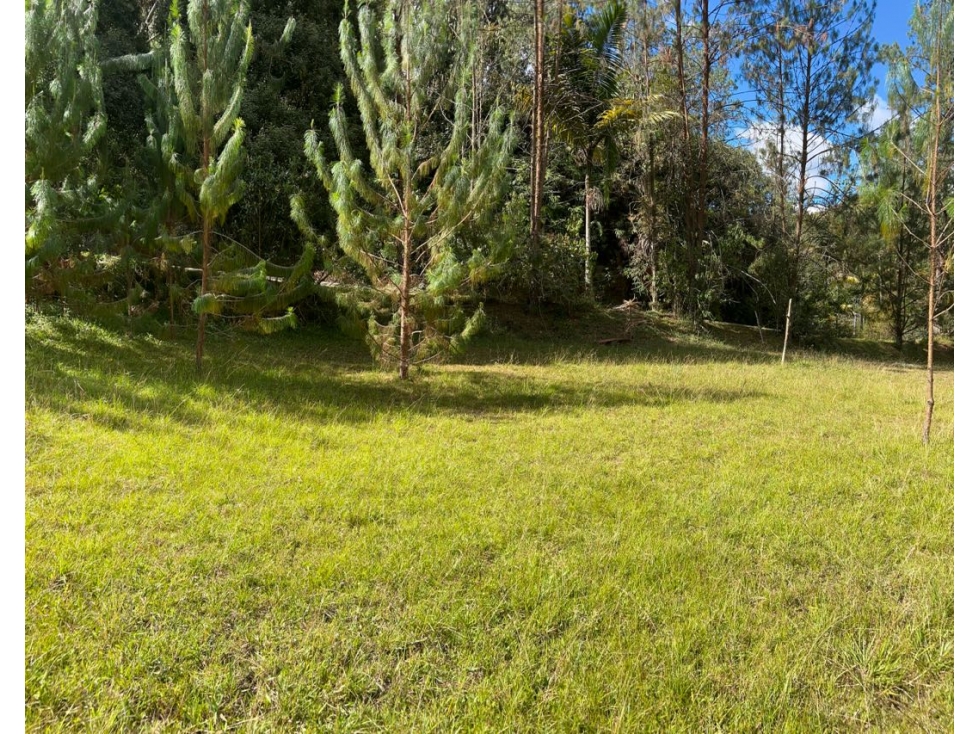VENTA DE LOTE EN EL RETIRO — foto 4
