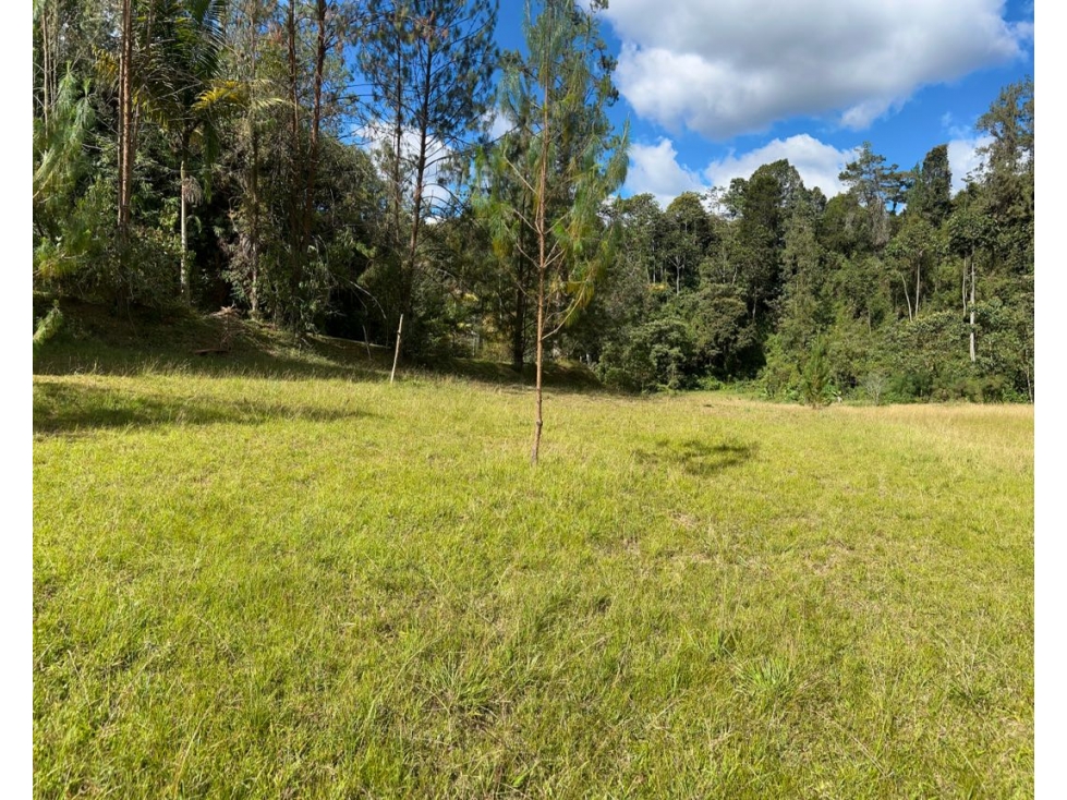 VENTA DE LOTE EN EL RETIRO — foto 5