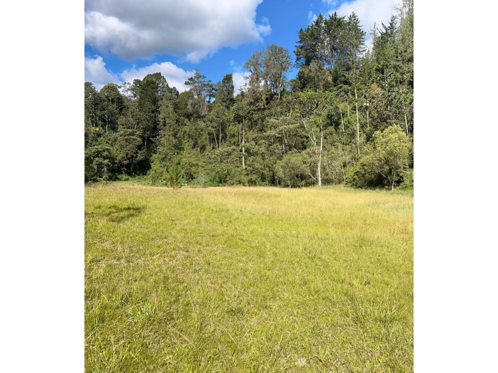 VENTA DE LOTE EN EL RETIRO — foto 6