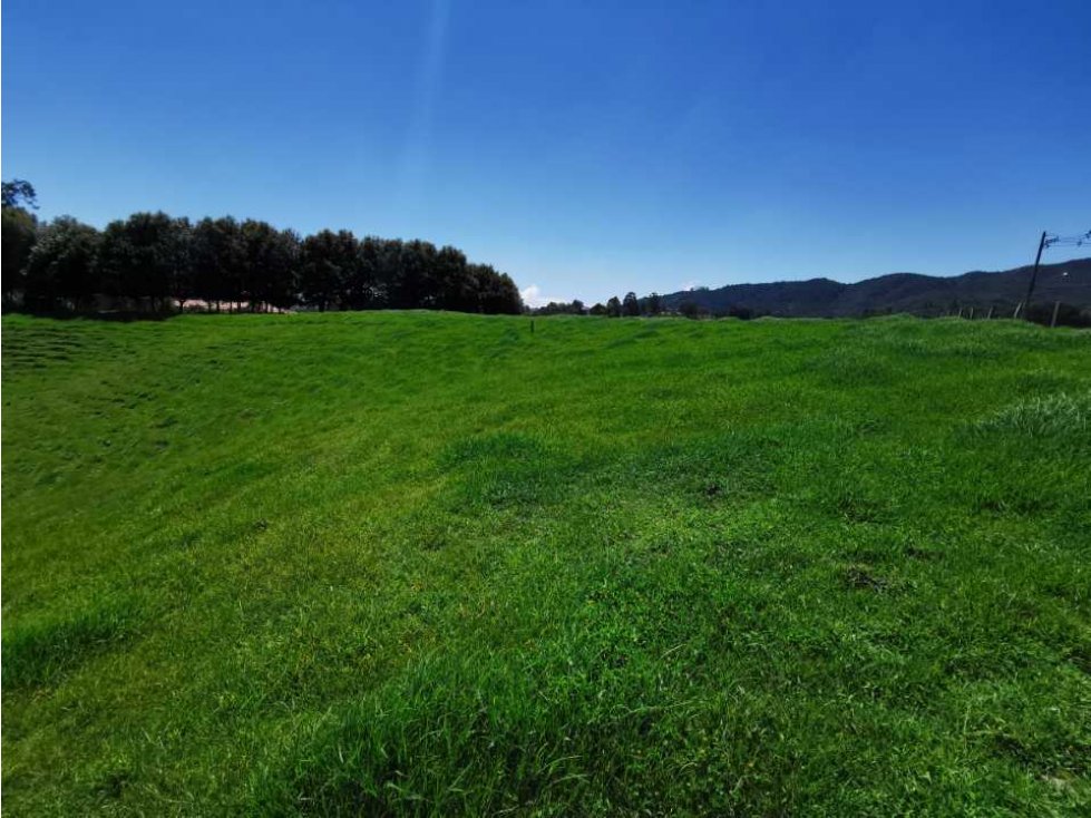 Venta de Lote en El Retiro en unidad cerrada - 3