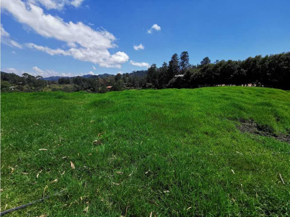 Venta de Lote en El Retiro en unidad cerrada - 4