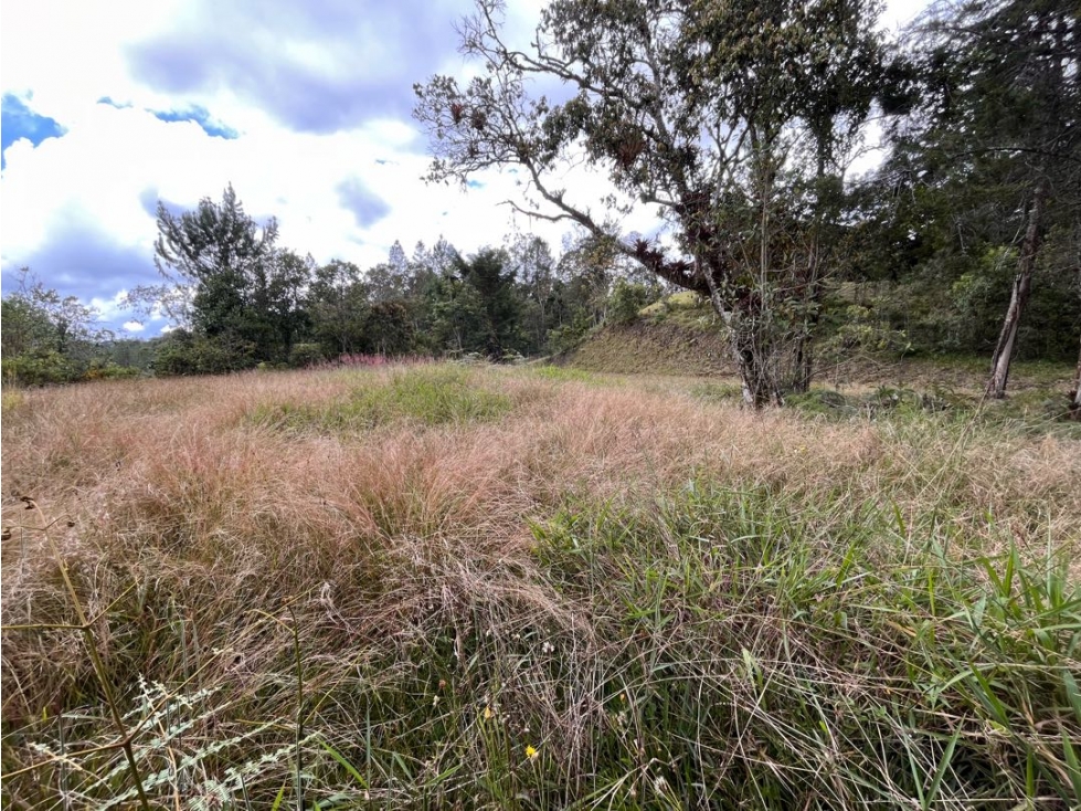 VENTA DE LOTE EN EL RETIRO EN UNIDAD CERRADA SECTOR PANTANILLO — foto 3