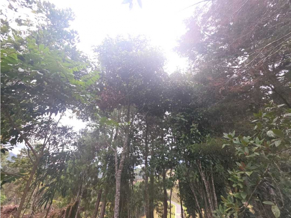 VENTA DE LOTE EN EL RETIRO, EN PARCELACIÓN. — foto 2