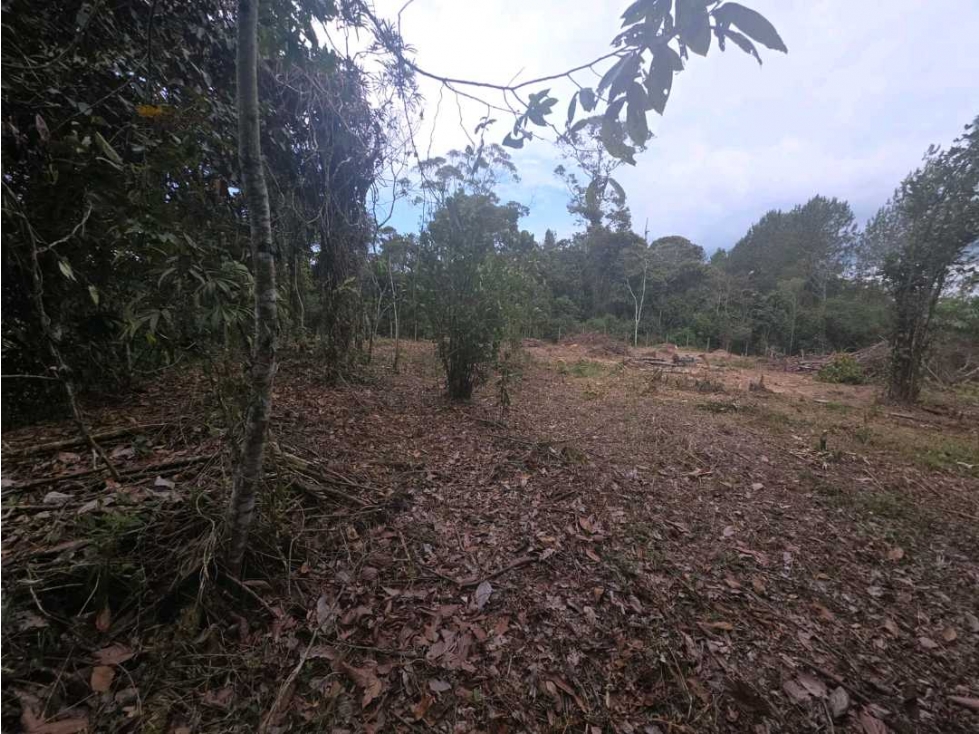 VENTA DE LOTE EN EL RETIRO, EN PARCELACIÓN. — foto 3