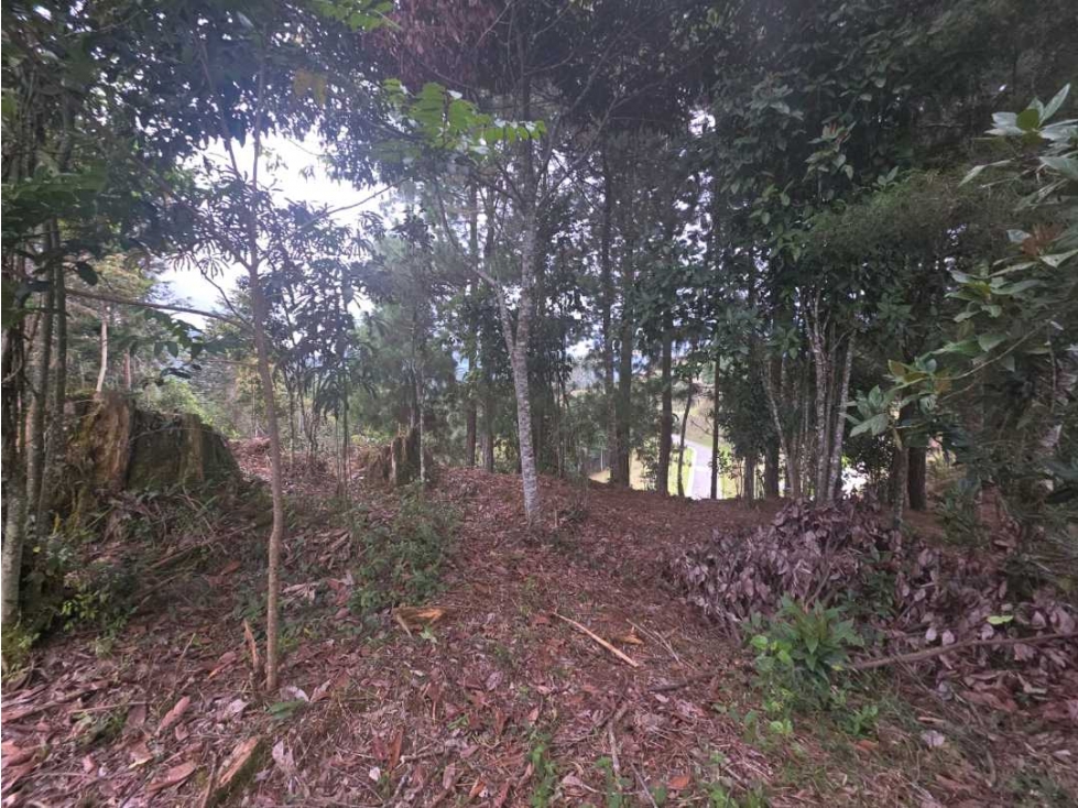 VENTA DE LOTE EN EL RETIRO, EN PARCELACIÓN. — foto 4
