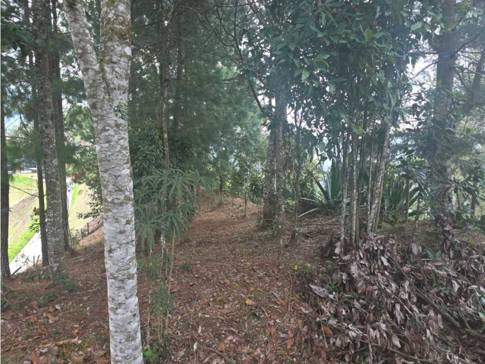 VENTA DE LOTE EN EL RETIRO, EN PARCELACIÓN. — foto 5