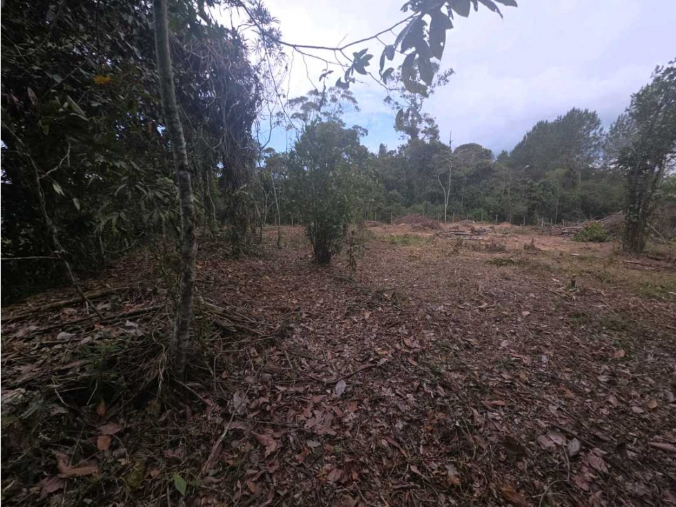 VENTA DE LOTE EN EL RETIRO, EN PARCELACIÓN. — foto 6