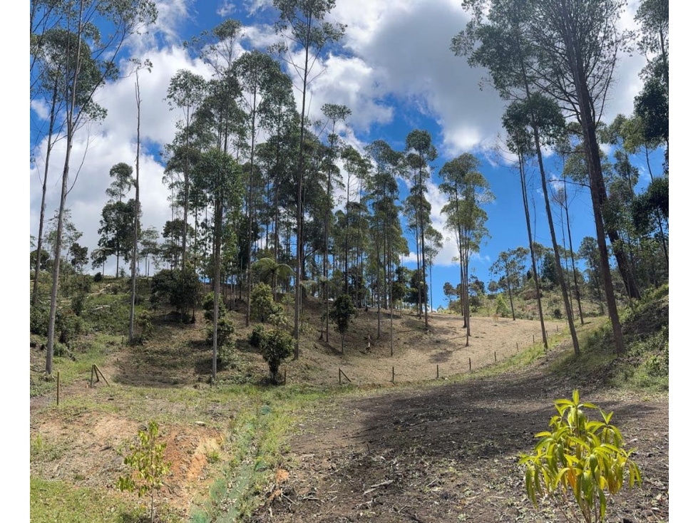 Venta de lote en el Retiro /Horizontes
