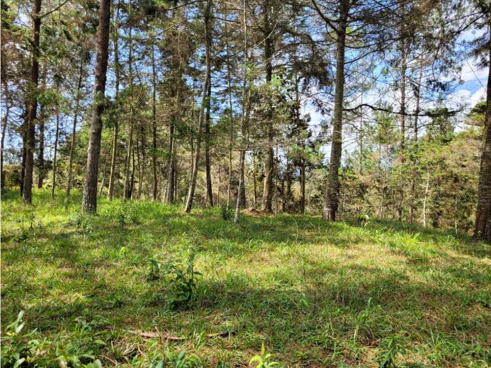 Venta de Lote en el Retiro Vereda Lejos Del Nido se puede dividir