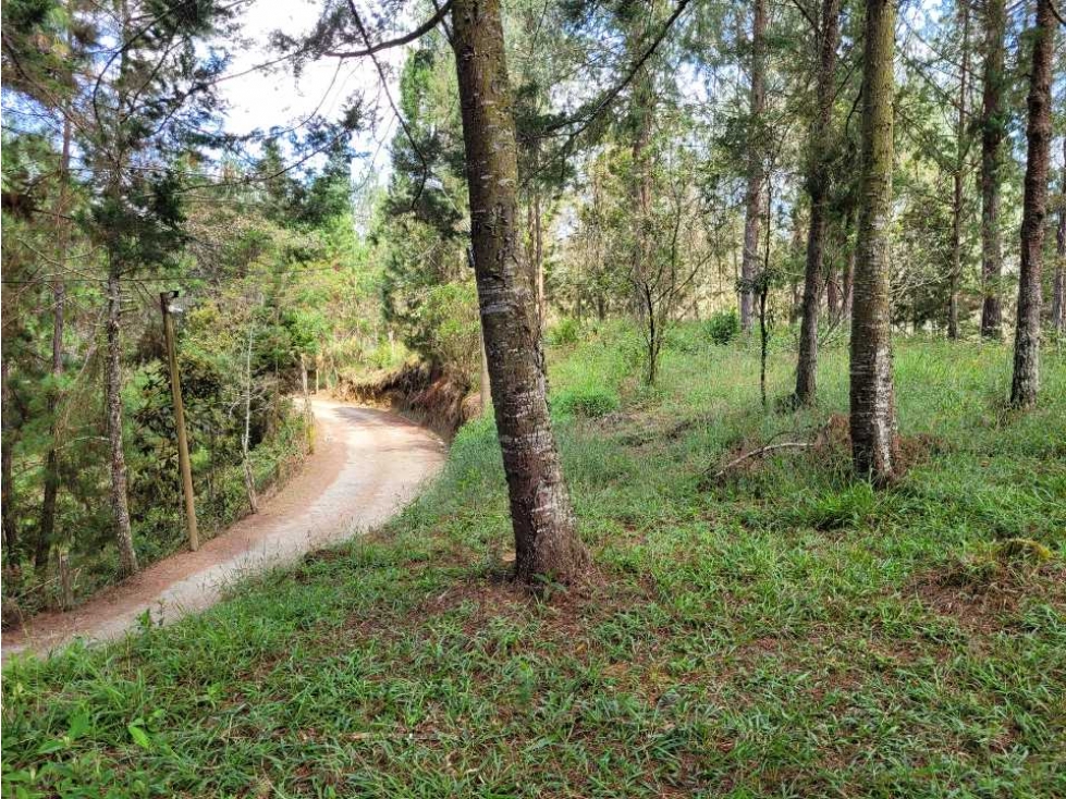 Venta de Lote en el Retiro Vereda Lejos Del Nido se puede dividir — foto 2