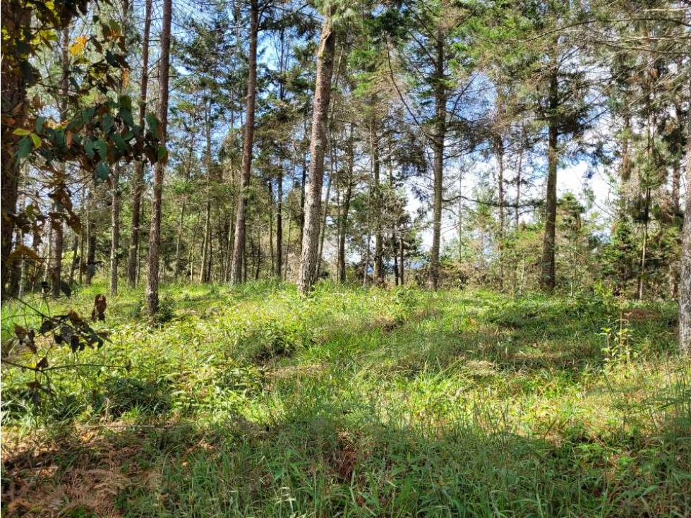 Venta de Lote en el Retiro Vereda Lejos Del Nido se puede dividir — foto 3