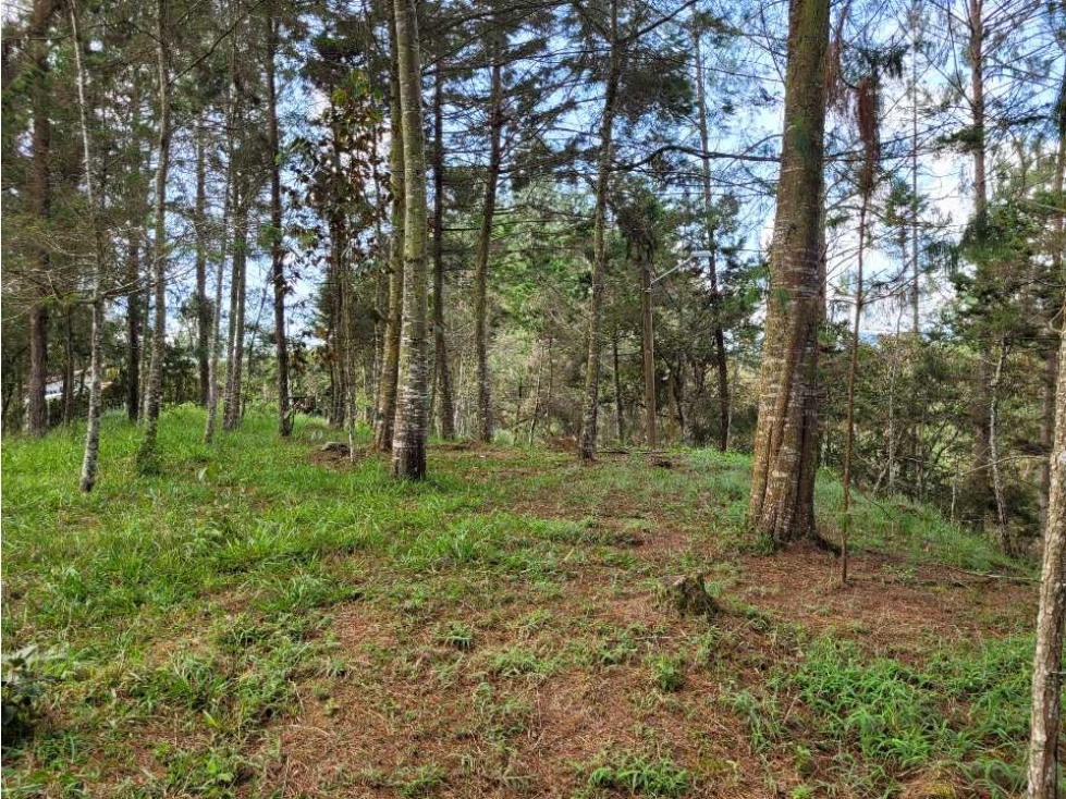 Venta de Lote en el Retiro Vereda Lejos Del Nido se puede dividir — foto 4