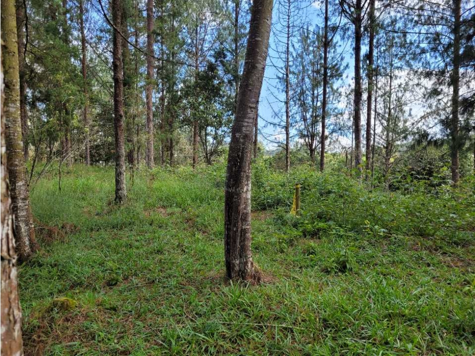 Venta de Lote en el Retiro Vereda Lejos Del Nido se puede dividir — foto 5