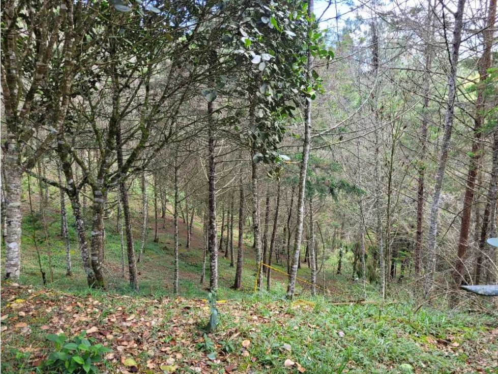 Venta de Lote en el Retiro Vereda Lejos Del Nido se puede dividir — foto 6