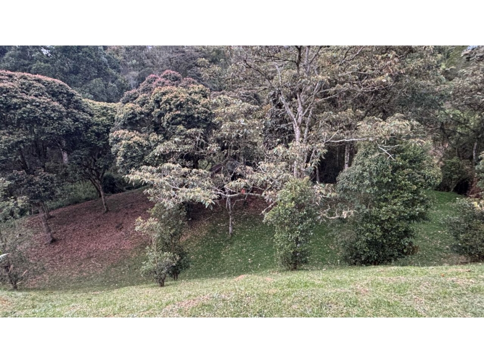 Venta de Lote en Exclusiva Parcelación El Retiro Sector Los Salados — foto 5