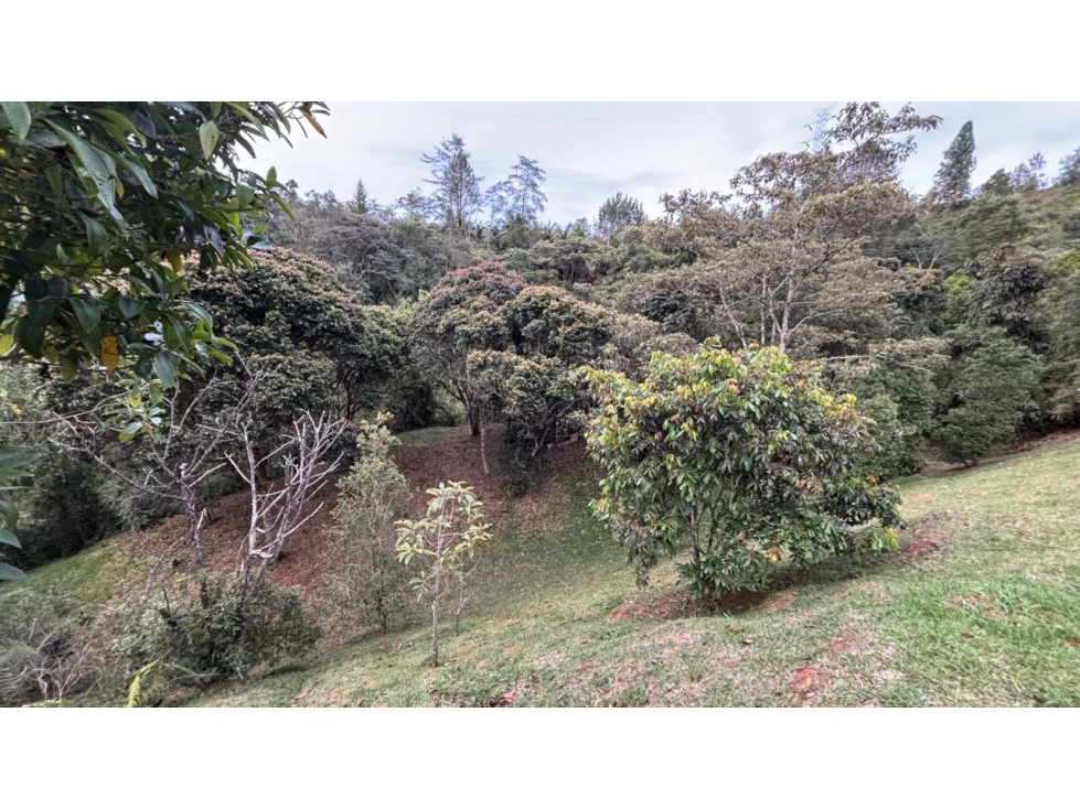 Venta de Lote en Exclusiva Parcelación El Retiro Sector Los Salados — foto 6