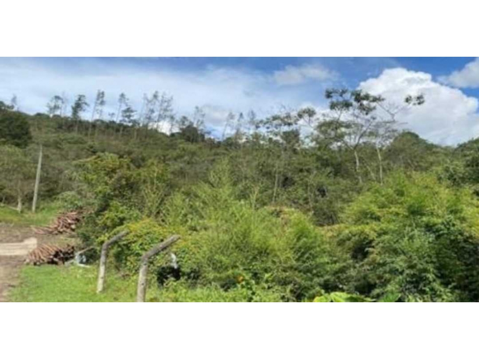 VENTA DE LOTE EN GUARNE ALTA MIXTURA